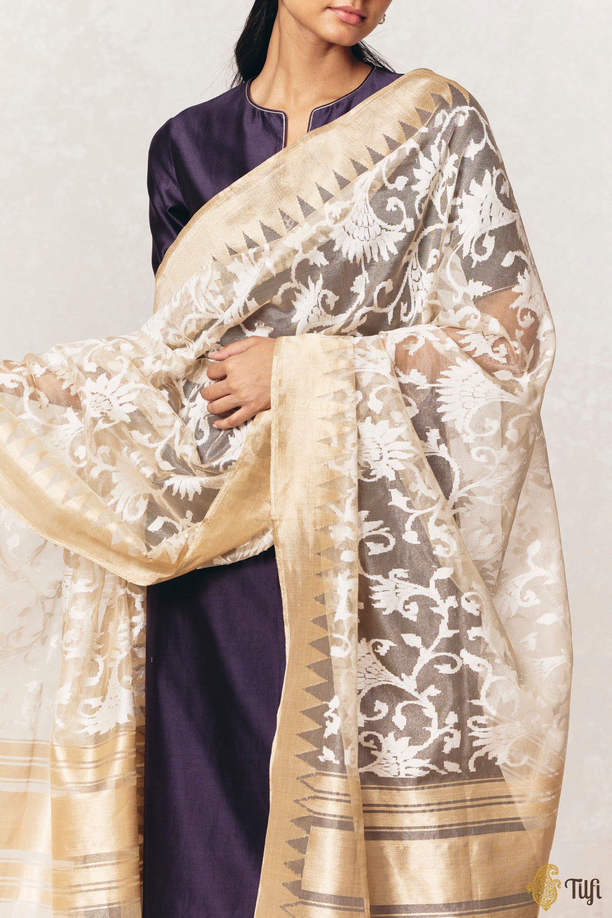 Beige Pure Kora Net Tissue Banarasi Handloom Dupatta