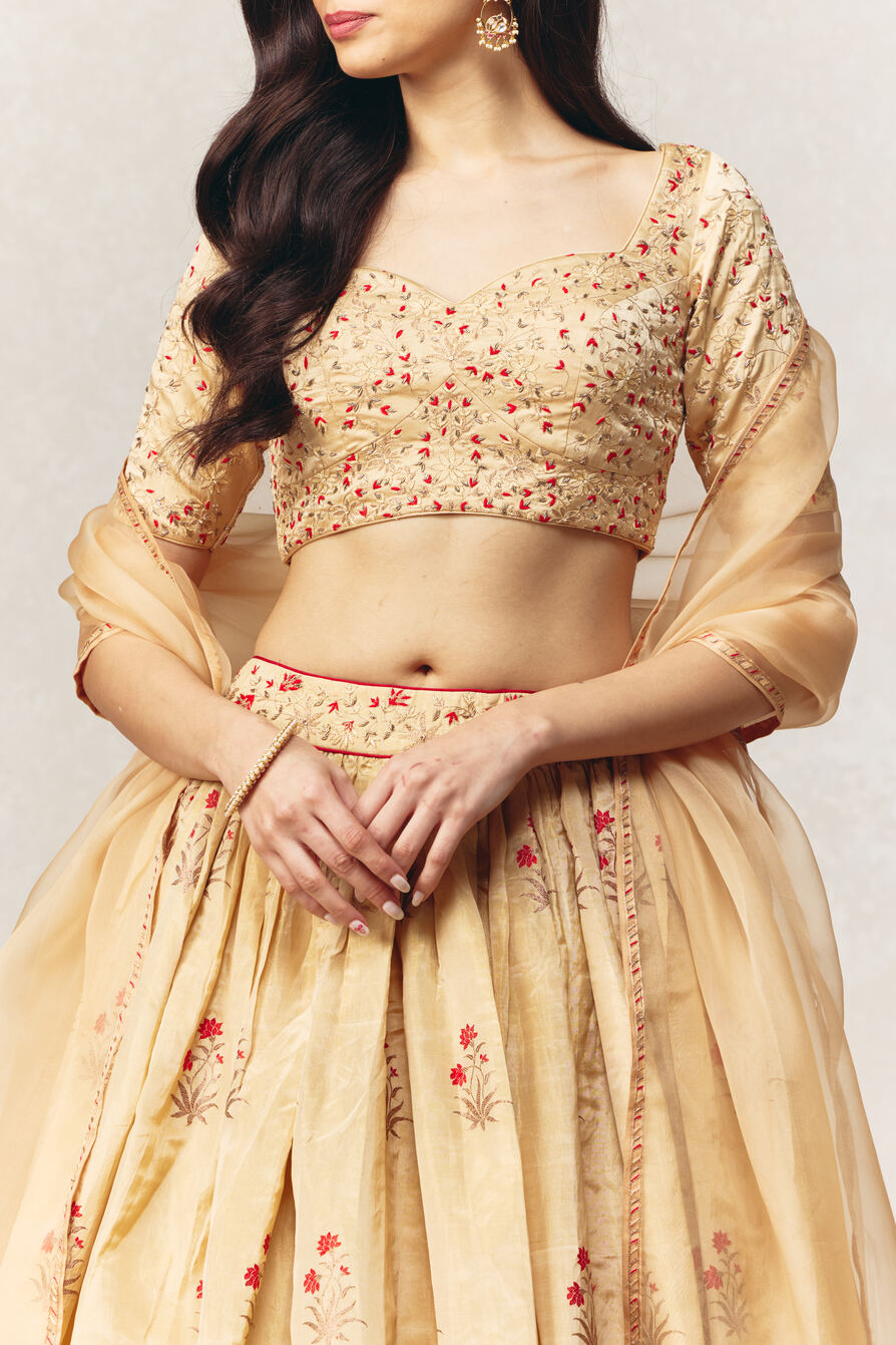 Gold Tissue Banarasi Handloom Lehenga Set with Hand-embroidered Dupatta