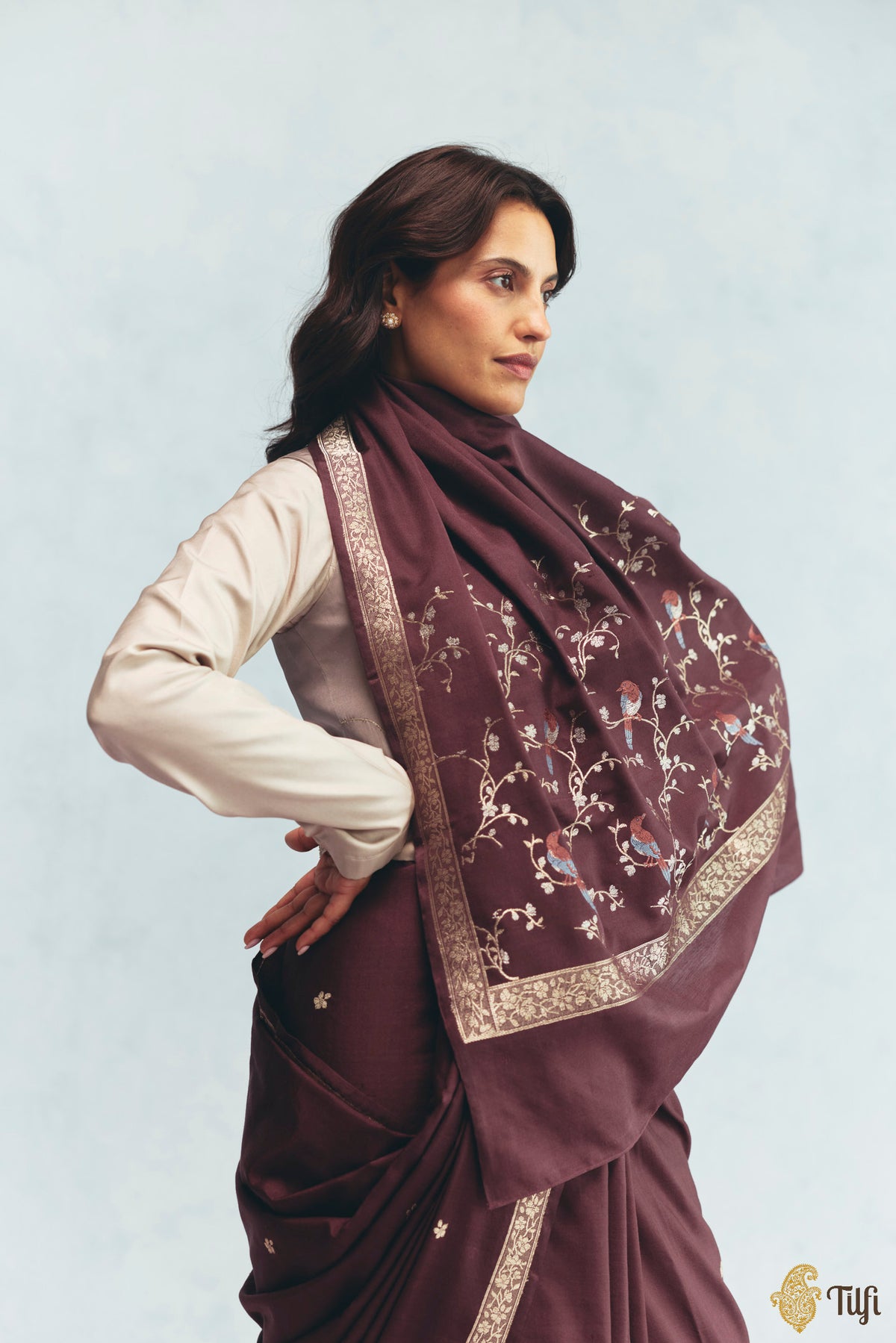 'Winter Song' Garnet Brown Silk-Pashmina Wool Banarasi Handloom Saree