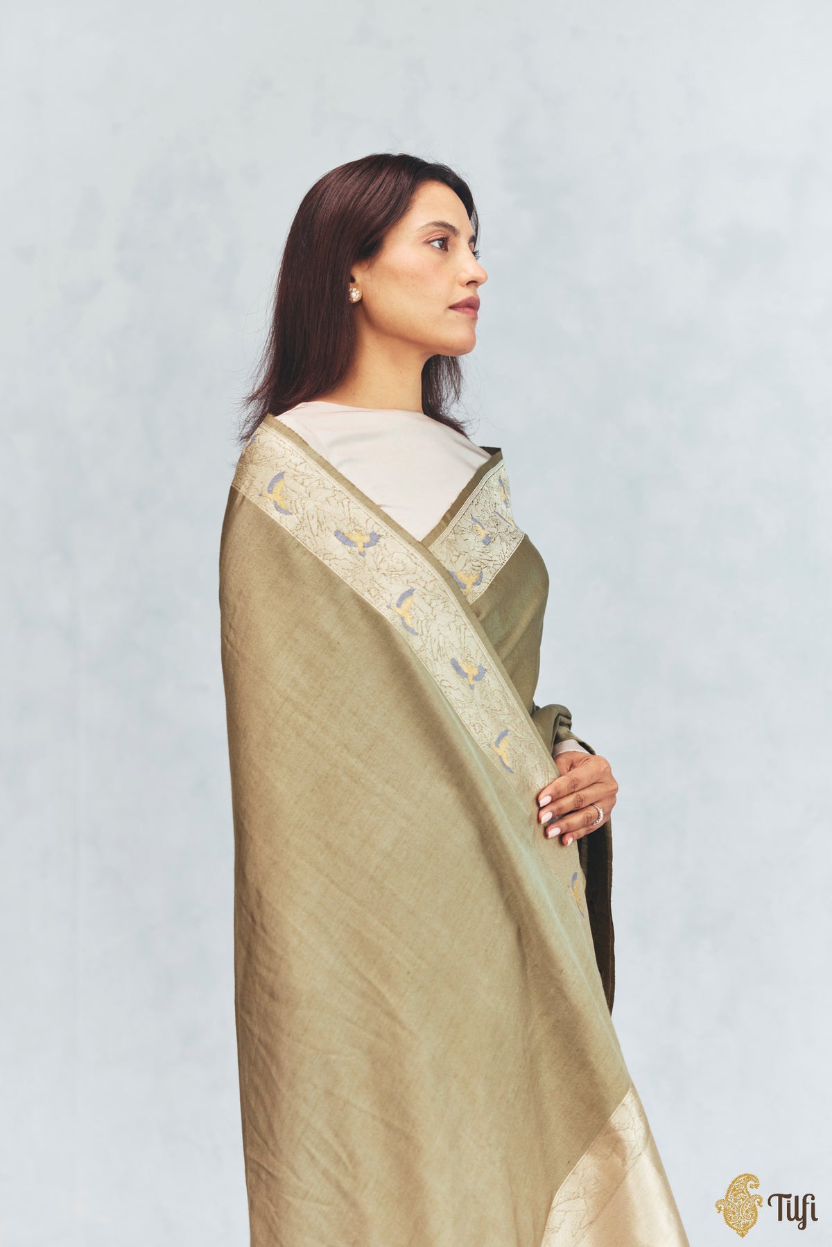 'FrostBorn' Light Green Silk-Pashmina Wool Banarasi Handloom Saree