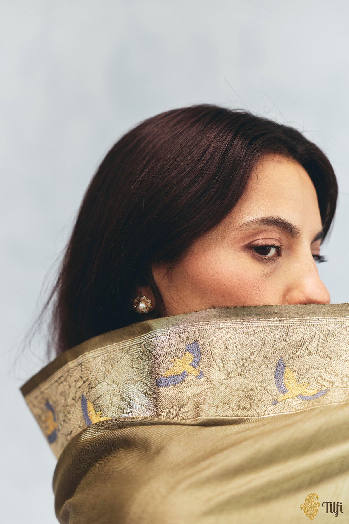 'FrostBorn' Light Green Silk-Pashmina Wool Banarasi Handloom Saree