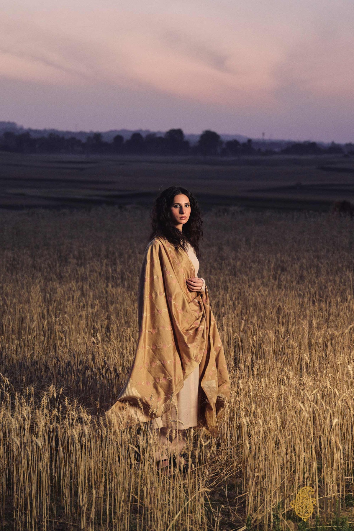 Light Brown Silk-Wool Banarasi Handloom Dupatta