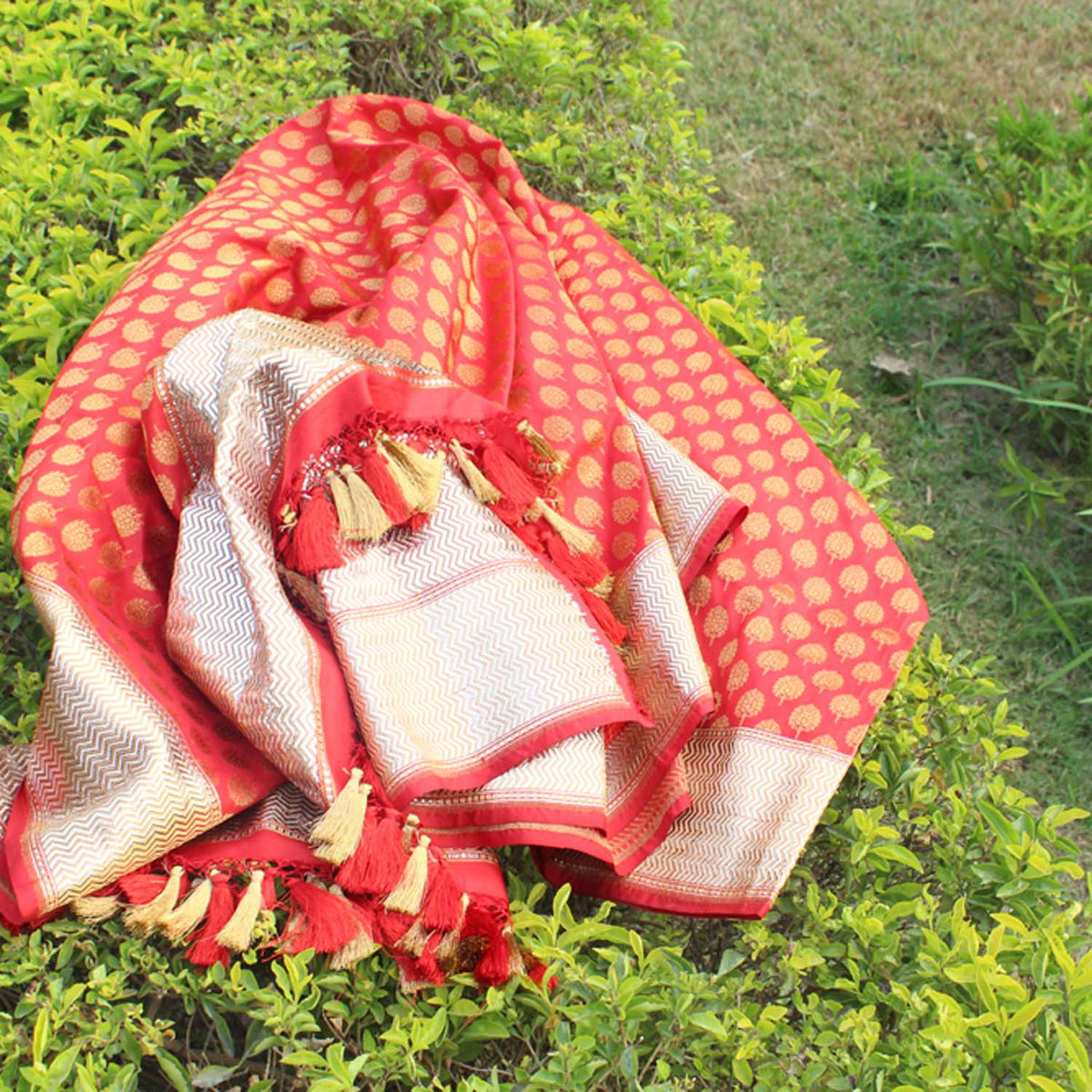 Red-Rani Pure Katan Silk Banarasi Handloom Dupatta - Tilfi - 1