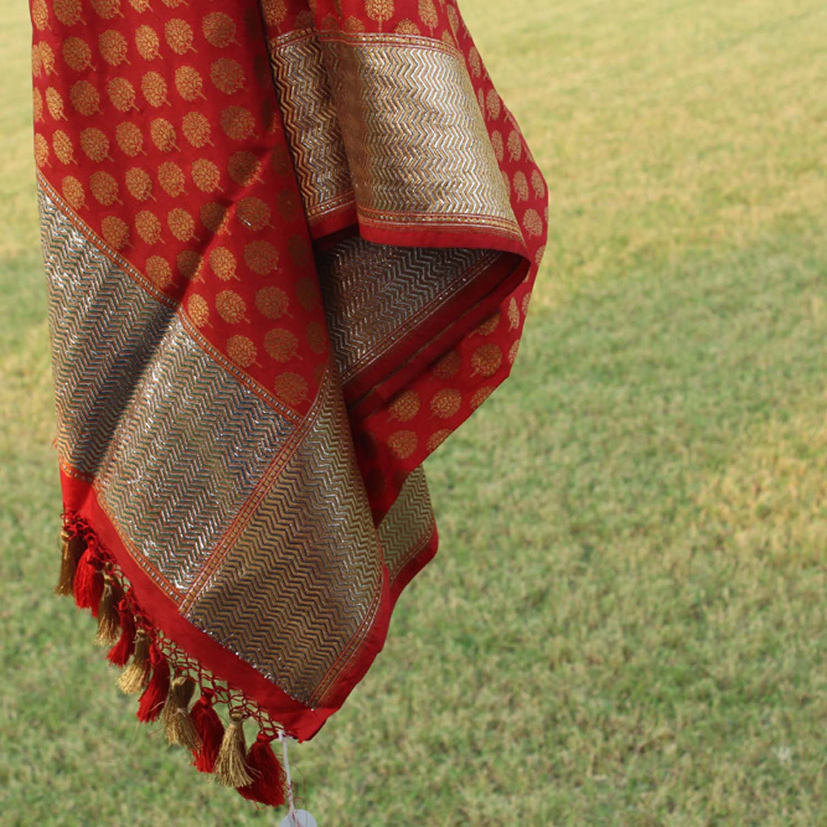 Red-Rani Pure Katan Silk Banarasi Handloom Dupatta - Tilfi - 4